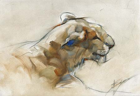 big-cat-study-450