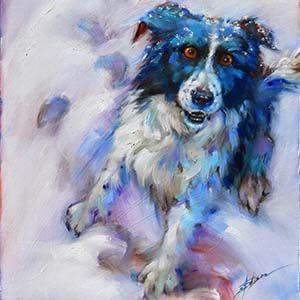 wheres-the-ball-300x300