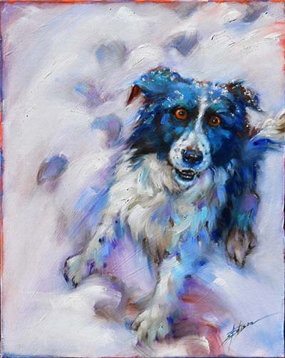 wheres-the-ball-400a