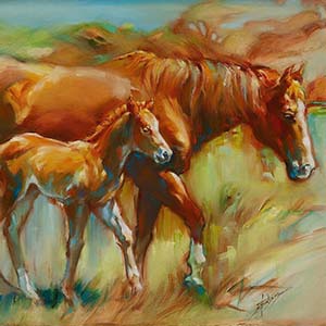 zandees-colt-300x300